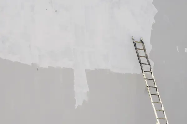 Exterior painting in Fremont: ladder against a freshly primed wall